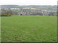 Pasture at Tudhope, above Jedburgh