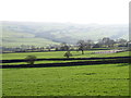 Pastures east of Pasture House