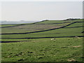 Pastures below Shaw Hill