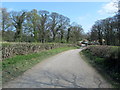 Approaching Strelley