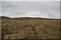 NR4060 : Boggy moorland south of Storakaig, Islay by Becky Williamson