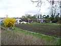 Allotments seen from Snakey Lane