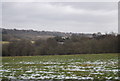 Countryside near Mayfield