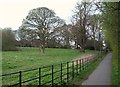 Path running through Riddings Park