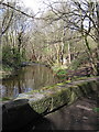 River Loxley at Wisewood