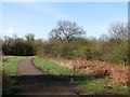 The edge of Bulwell Hall Park