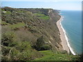 SY1587 : Devon coast viewed from Higher Dunscombe Cliff by Philip Halling