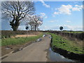 Rise  Lane  Looking  South