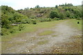 Track through Cwmynyscoy Local Nature Reserve, Pontypool