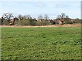 The northern edge of Bulwell Hall Estate