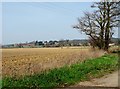 Ploughed field north of Dedham