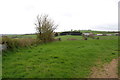 Farmland near Burn