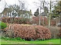 Large house on Linton Lane