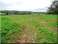 Farmland south of Collingham