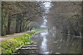 Mid Devon : The Grand Western Canal