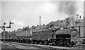 Up freight at Harringay West, with ex-WD 0-6-0T