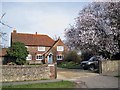 Spring flowers in Chinnor