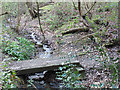 Norfolk Park: footbridge