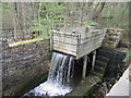 Rowel Wheel, River Loxley