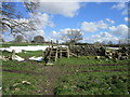 Over the stile to Heaven Fields