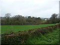 Clifford Castle ruins