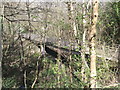 Footbridge in Church Wood, Hollington