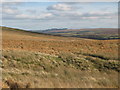 Featherstone Common above Cooper