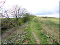 Spetisbury Rings, rampart