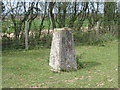 Ordnance Survey Trig Pillar S3279