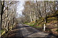 Road between Eskadale and Hughton