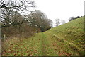 Footpath, Mangerton Hill