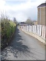 Footpath - Westfield Lane