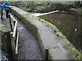 Massive masonry flanking a weir, Wisewood