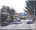 Thirlmere Avenue - viewed from Langdale Avenue