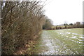 Footpath along the edge of Vicarage Wood