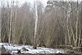 Coppicing, Vicarage Wood