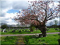 Meeting of paths in Streatham Cemetery