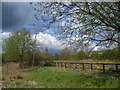 Wandle Meadow Nature Park