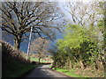 Road near Cockhaise Farm