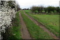 Path toward Greenways along the hedgerow