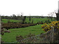 Farmland south-west of the Shinn Road