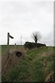 Footpath by the hedge