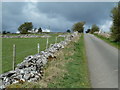 Looking up Leys Lane