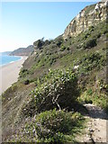 SY2187 : Coast path above Hooken Beach by Philip Halling