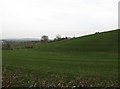 A northern spur of the hill on which the town of Rathfriland stands