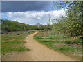 Path through Wandle Meadow Nature Park