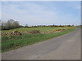 Sheep grazings in the townland of Gransha