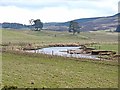 Meander on the River South Esk