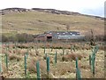 Barns at Rottal