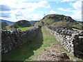 The Graig above Cwmyoy